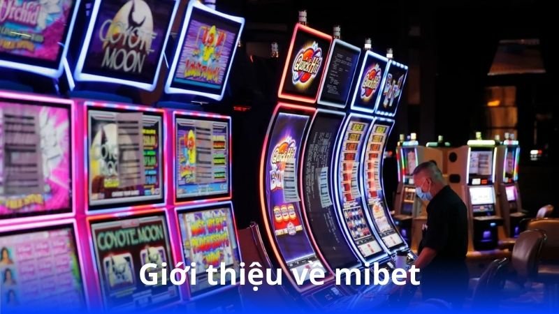 Mibet – Cổng cá cược chuyên nghiệp 3 gioi-thieu-ve-mibet